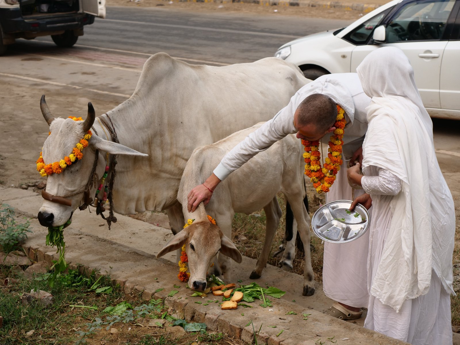  40 Gopashtami Radha kunda Govardhan 19.11.04